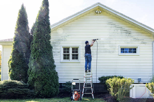 Best Vinyl Siding Pressure Washing in Hayward, WI