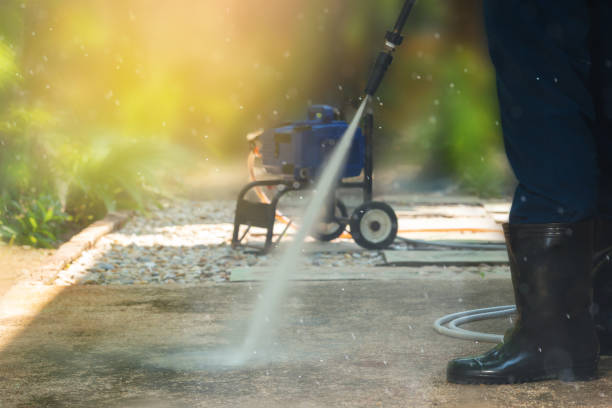 Best Driveway Cleaning and Restoration in Hayward, WI